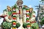 வீரராகவப் பெருமாள்  கோவில்  மஞ்சள் நீராட்டு உற்சவம்!