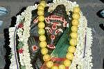 வீரட்டானேஸ்வரர் கோவிலில் வராகி அம்மனுக்கு சிறப்பு பூஜை!