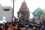 சுயம்பு வெள்ளைக்கல் மாரியம்மன் கோயில் தேரோட்டம்!