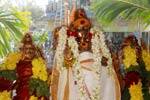 முருகா... உனக்கு இன்றும் ஓரவஞ்சனை: அன்று பழம்...இன்று பணம்!