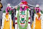 வெங்கட்ரமணர் கோவிலில் விசேஷ பூஜைகள்!