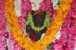 ஆதிவாலீஸ்வரர் கோவிலில் அகண்ட விளக்கு அமைப்பு!