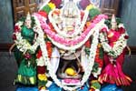 திருத்தணியில்  ஆனி கிருத்திகை விழா 60 ஆயிரம் பக்தர்கள் தரிசனம்!