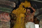 விருத்தாசலம் விருத்தகிரீஸ்வரர் கோவிலில் பிரதோஷ வழிபாடு!