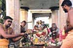 உளுந்தூர்பேட்டை பகுதியில் பிரதோஷ சிறப்பு அபிஷேகம்!