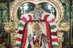 சரநாராயண பெருமாள் சிறப்பு அலங்காரத்தில் அருள்பாலிப்பு!