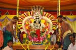 ஆனி அமாவாசையையொட்டி ஊஞ்சல் உற்சவம்!