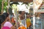 நடன பாதேஸ்வரர் கோவிலில் பிரம்மோற்சவ கொடியேற்றம்!