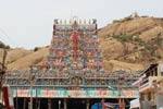 திருப்பரங்குன்றம் கோயிலில் 25 ஆண்டுகளுக்கு பின்பு பிரசாதம் விற்பனை!