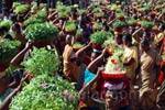சென்னிமலை கும்பாபிஷேக விழா: பெண்கள் பங்கேற்ற முளைப்பாரி ஊர்வலம்!
