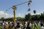 அம்சா மாரியம்மன் கோயில் செடல் உற்சவம்  தேர் திருவிழா!