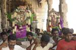 பாடலீஸ்வரர் கோவிலில் ஆனி திருமஞ்சனம்!