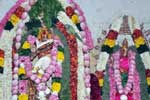 பழநி ஆனி திருமஞ்சனம் வருடாபிஷேகம்!