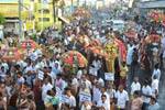 பன்னிரு திருமுறை உரை நுால்: சிதம்பரத்தில் யானை மீது ஊர்வலம்!