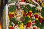 கண்டதேவி சொர்ணமூர்த்தீஸ்வரர் கோயிலில் திருக்கல்யாணம்!