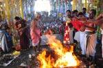 லட்சுமி நரசிம்மர் கோவில் சுவாதி சிறப்பு ஹோமம்!