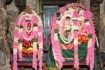 நடனபாதேஸ்வரர் கோவிலில் திருக்கல்யாண உற்சவம்!