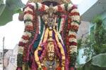 விஜயராகவ பெருமாள் கருட வாகனத்தில் வீதியுலா!