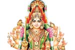 ஷியாமளா தேவிக்கு இன்று மகா கும்பாபிஷேகம்!