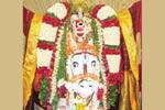 குதிரை வாகனத்தில் நாராயண பெருமாள் உலா!