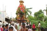 செஞ்சி பிடாரியம்மன்  கோவில் தேர் திருவிழா!