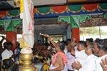 உடையார்குடியில் 31ம் தேதி தீமிதி விழா!