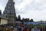 மாசாணியம்மன் கோவிலில் ஆடிப்பெருக்கு விழா!