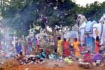 பள்ளிப்பட்டு அய்யனாருக்கு ஊரணி பொங்கல் வழிபாடு!