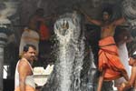 அருணாச்சலேஸ்வரர் கோவிலில் நந்தி பெருமானுக்கு பால் அபிஷேகம்!
