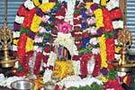 நரசிம்மர் கோவிலில் சிறப்பு பூஜை!
