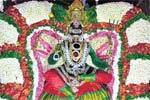 கூரம் சாமாத்தம்மன் கோவிலில் அலகு குத்தி ஊர்வலம்!