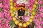 பழநி கோயில்களில் சிறப்பு வழிபாடு!