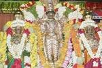 தாடிக்கொம்பு சவுந்திரராஜ பெருமாள் ஆடித்தேரோட்டம்!
