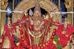 திருச்செந்தூர் ஆவணித் திருவிழா: தங்க சப்பரத்தில் சண்முகர்!