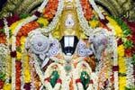 திருப்பதி பாதயாத்திரை பக்தர்களுக்கு திவ்ய தரிசனம் ரத்து?