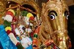 மதுரையில் .. பிட்டுக்கு மண் சுமக்கும் வைபவம்!