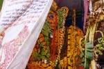 பக்தர்களுக்கு பிரசாதமான விநாயகர்: சுற்றுச்சூழல் பாதுகாப்பிற்கு முன் உதாரணம்!