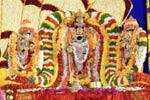 சீனிவாச பெருமாள் திருக்கல்யாணம்!