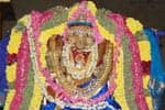 சிதம்பரம் காயத்ரி தேவி அம்மன் கோவிலில் சிறப்பு ஹோமம்!