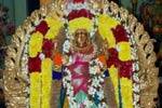கள்ளக்குறிச்சி நவராத்திரி உற்சவம் துவக்கம்!