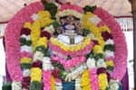பாடலீஸ்வரர் கோவிலில் விஸ்வ பிரம்மா வீதியுலா!