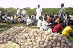 ஆண்கள் மட்டுமே கொண்டாடிய விநோத வழிபாடு!