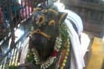 சோமவார பிரதோஷம்: இம்மையிலும் நன்மை தருவார் கோயிலில் சிறப்பு அபிஷேகம்!