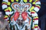 கருட வாகனத்தில் பூவராக சுவாமி உலா!