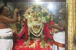 திருத்தணி முருகன் கோவிலில் சிறப்பு பூஜை!