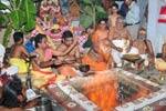மீனாட்சி சுந்தரேஸ்வரர் கோவிலில் லட்சுமி சுதர்சன ஹோமம்!