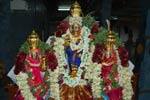 ராஜகோபால சுவாமி கோவிலில் சிறப்பு பூஜை!