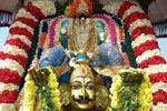 பிரசன்ன வெங்கடேச பெருமாள் கோவில் கருடசேவை!