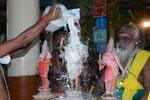 திருச்செந்தூர், பழநியில் இன்று சூரசம்ஹாரம்!