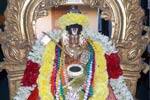 மணவாள மாமுனிகள்  உற்சவம்  பூர்த்தி விழா!